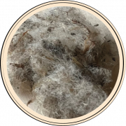 Wolle_2